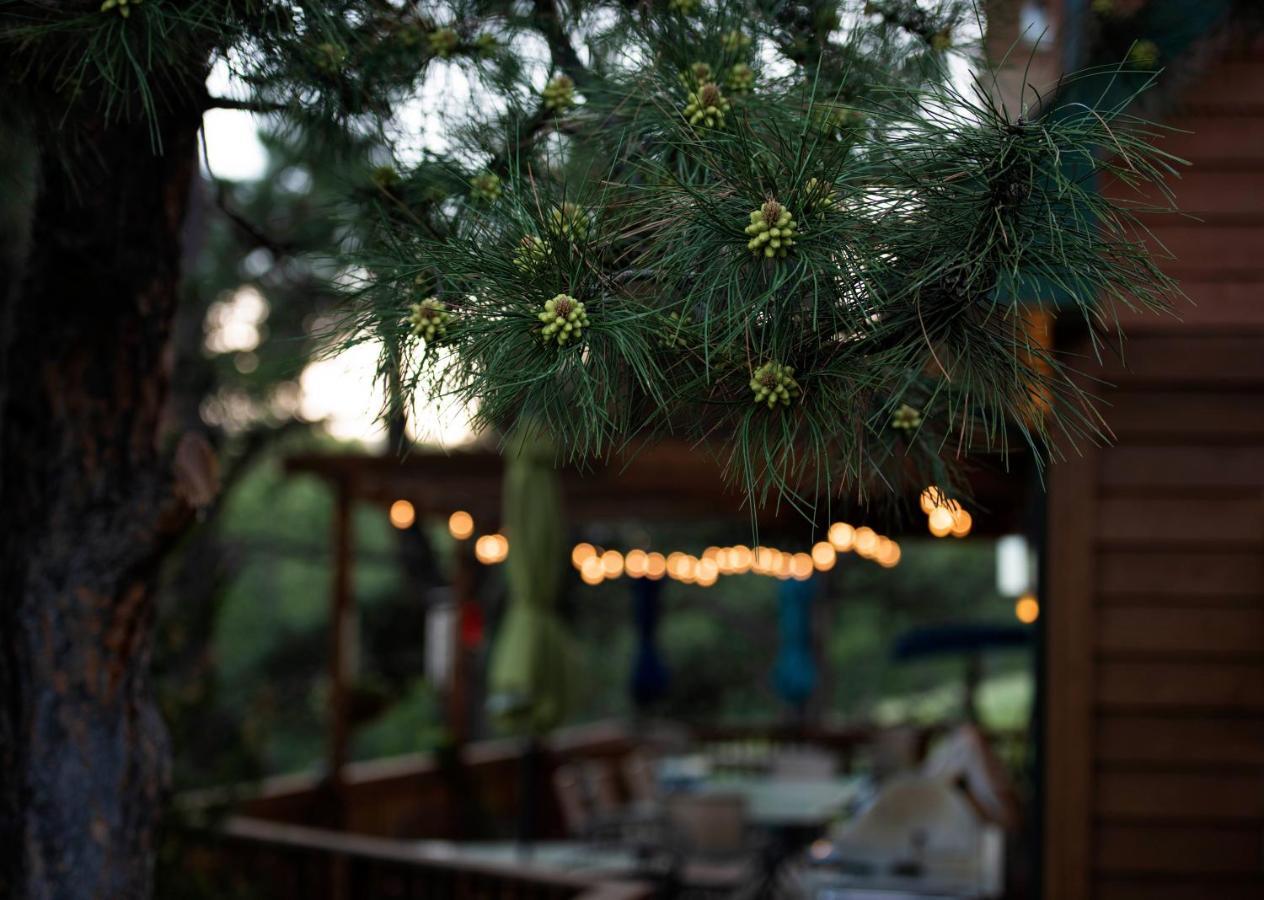 Coyote Blues Village Bed & Breakfast Silver City Eksteriør bilde